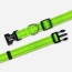 Kiwi Green  - Appalachian Kiwi Green Dog Collar - Small 5/8in wide by 8