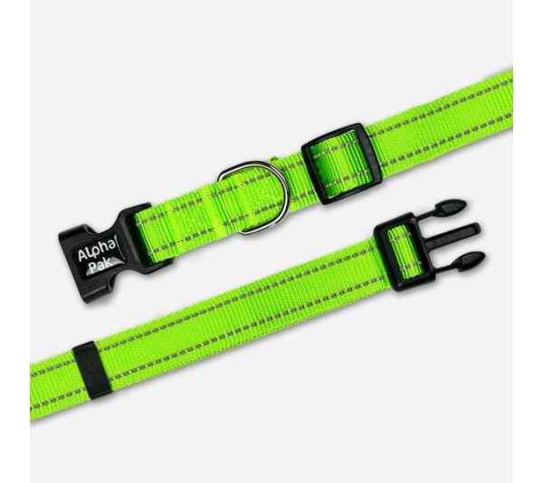 Kiwi Green  - Appalachian Kiwi Green Dog Collar - Extra Large 1in wide by 20