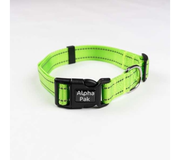 Kiwi Green  - Appalachian Kiwi Green Dog Collar - Large 1in wide by 14