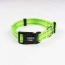 Kiwi Green  - Appalachian Kiwi Green Dog Collar - Large 1in wide by 14