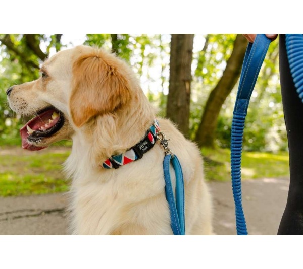 Shenandoah Pattern Dog Collar - Large 1in wide by 14