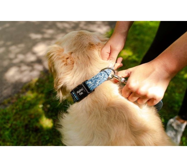 Tidal Pattern Dog Collar - Extra Large 1in wide by 20