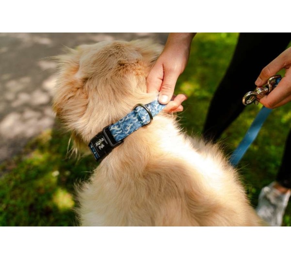 Tidal Pattern Dog Collar - Medium 3/4in wide by 11