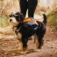 MILE HIGH - Adventurer 2-piece Dog Pack With EZ Latch  Harness - Small