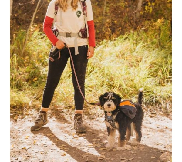 MILE HIGH - Adventurer 2-piece Dog Pack With EZ Latch  Harness - Small