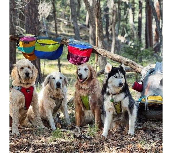 MILE HIGH - Adventurer 2-piece Dog Pack With EZ Latch  Harness - Small