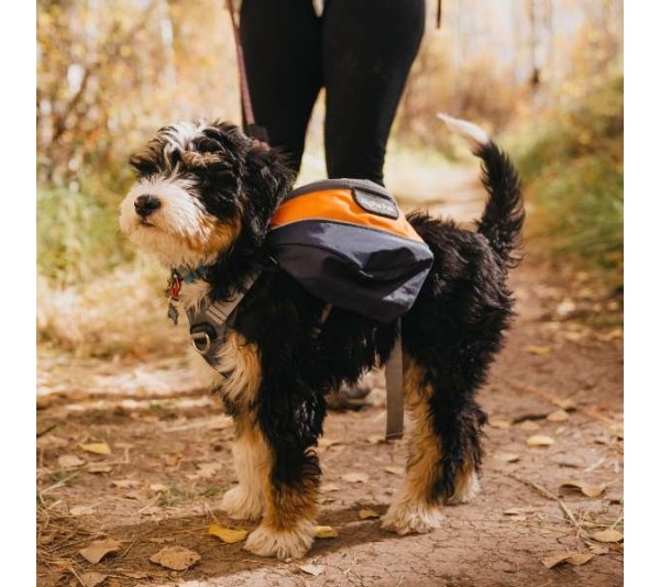 MILE HIGH - Adventurer 2-piece Dog Pack With EZ Latch  Harness - Medium
