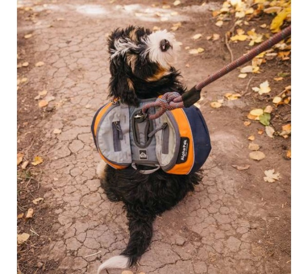 MILE HIGH - Adventurer 2-piece Dog Pack With EZ Latch  Harness - Medium