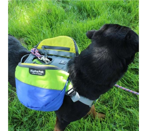 RAIN FOREST - Adventurer 2-piece Dog Pack With EZ Latch  Harness - Medium