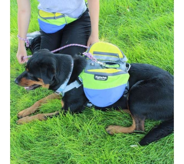 RAIN FOREST - Adventurer 2-piece Dog Pack With EZ Latch  Harness - Medium