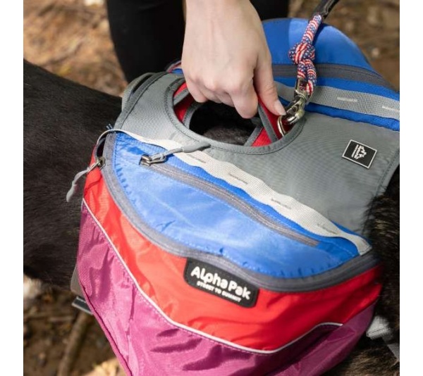 SUNSET - Adventurer 2-piece Dog Pack With EZ Latch  Harness - Medium