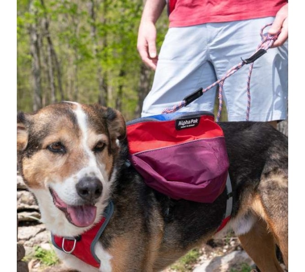 SUNSET - Adventurer 2-piece Dog Pack With EZ Latch  Harness - Small