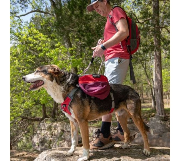 SUNSET - Adventurer 2-piece Dog Pack With EZ Latch  Harness - Small