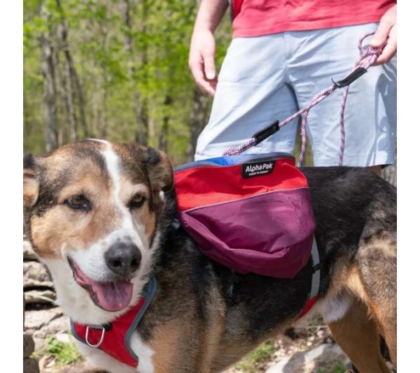 SUNSET - Adventurer 2-piece Dog Pack With EZ Latch  Harness - Extra Large