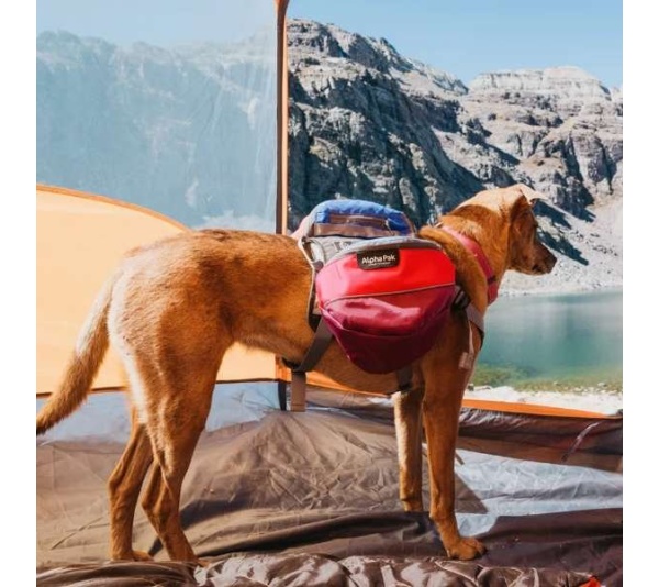 SUNSET - Adventurer 2-piece Dog Pack With EZ Latch  Harness - Extra Large