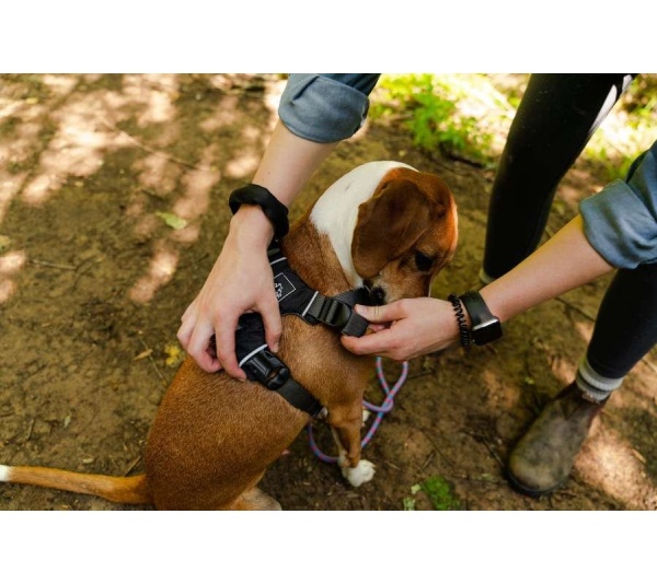 Black  - Millvue EZ Fit Dog Harness - Small