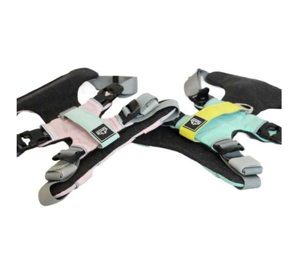 Desert Flower  - Millvue EZ Fit Dog Harness - Extra Small