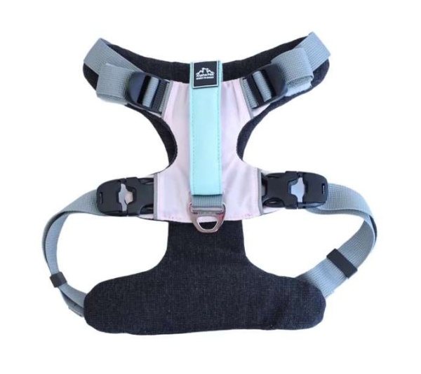 Desert Flower  - Millvue EZ Fit Dog Harness - Small