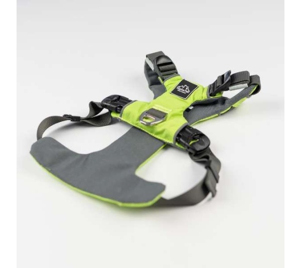 Kiwi Green  - Millvue EZ Fit Dog Harness - Small