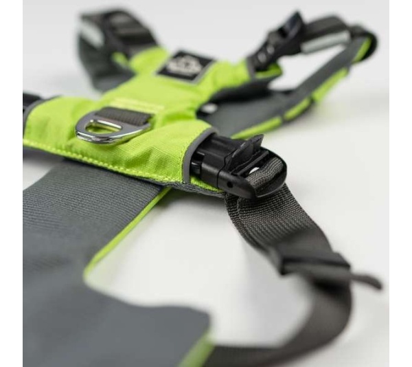 Kiwi Green  - Millvue EZ Fit Dog Harness - Small