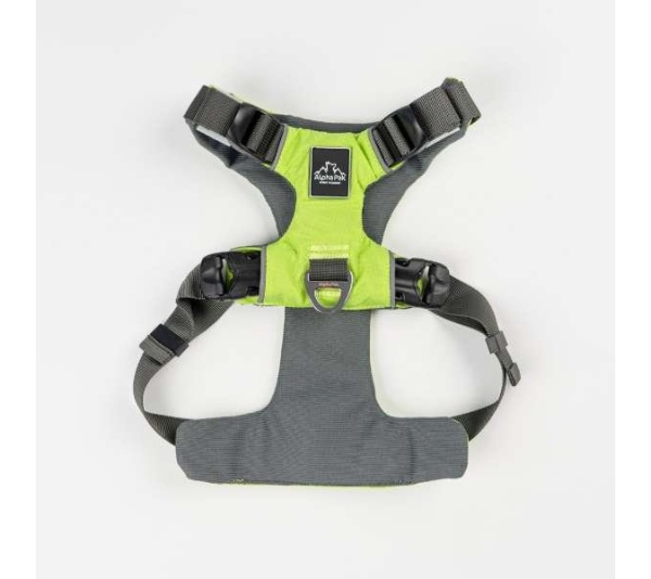 Kiwi Green  - Millvue EZ Fit Dog Harness - Large