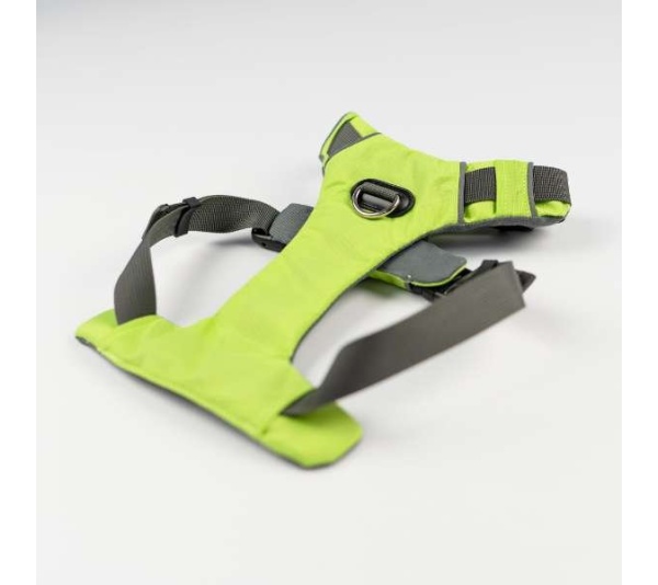 Kiwi Green  - Millvue EZ Fit Dog Harness - Large