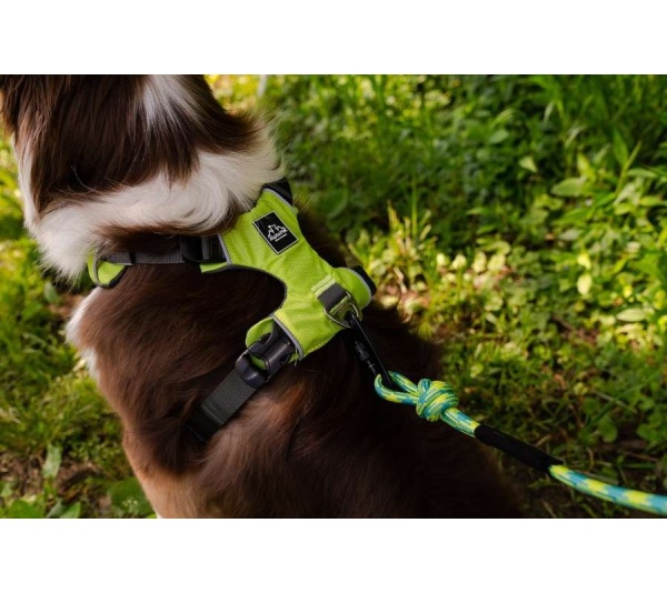 Kiwi Green  - Millvue EZ Fit Dog Harness - Large