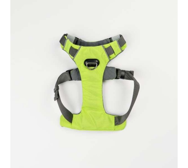 Kiwi Green  - Millvue EZ Fit Dog Harness - Extra Large