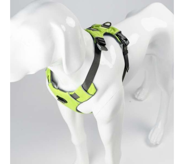 Kiwi Green  - Millvue EZ Fit Dog Harness - Extra Large