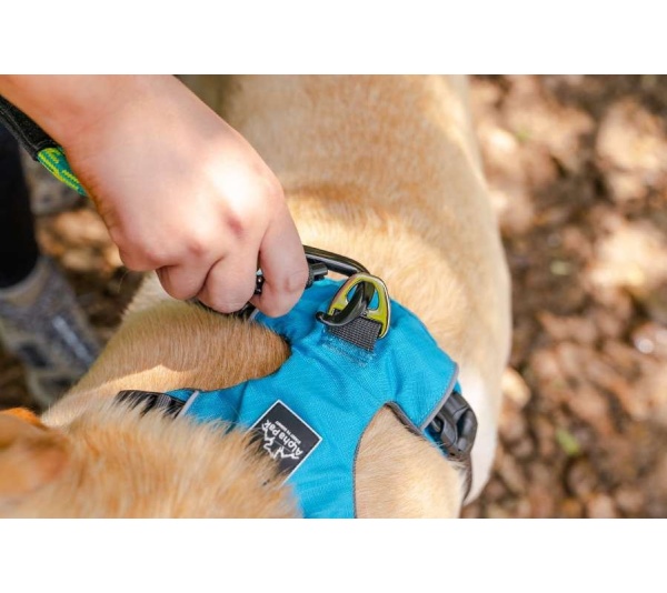 Ocean Blue  - Millvue EZ Fit Dog Harness - Medium