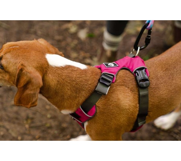 Raspberry Pink  - Millvue EZ Fit Dog Harness - Extra Small