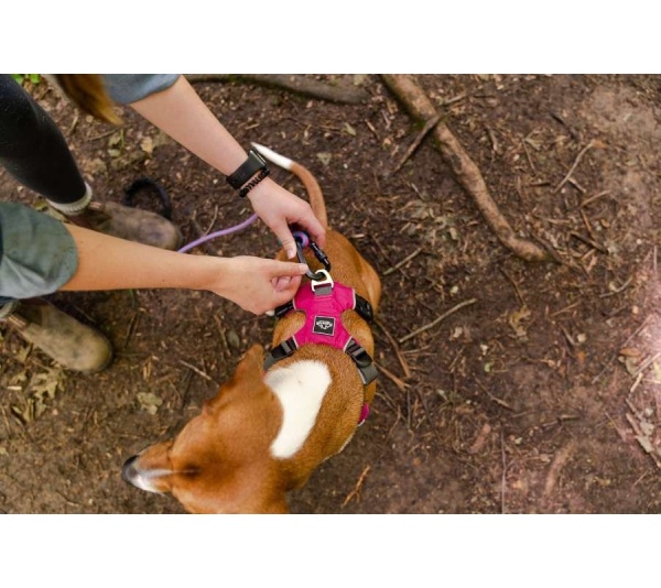 Raspberry Pink  - Millvue EZ Fit Dog Harness - Large