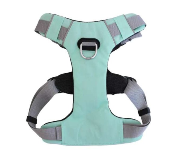Riptide  - Millvue EZ Fit Dog Harness - Small