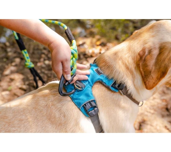 Alpine 10MM Kernmantle Rope Leash - 30 inches