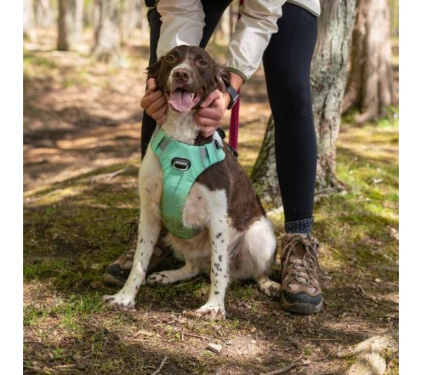 Riptide  - Millvue EZ Fit Dog Harness - Extra Large