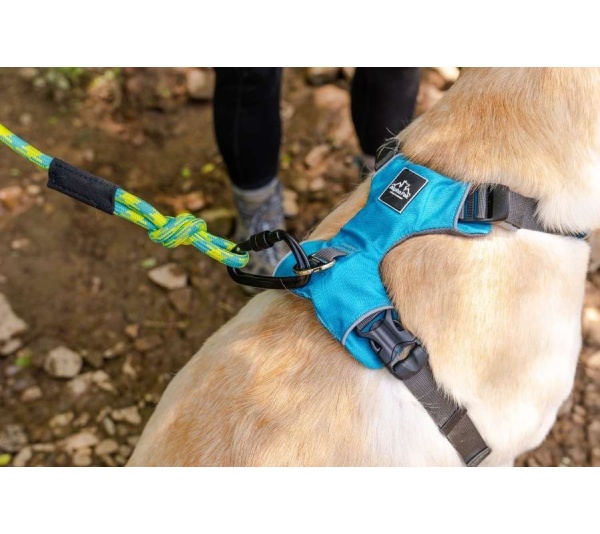 Alpine 10MM Kernmantle Rope Leash - 6 feet