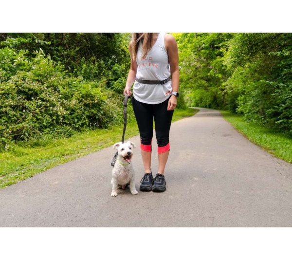 Cascades Graphite Stretchable Runner Dog Leash - 7 to 11 feet when stretched.