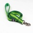 Kiwi Green Flat  - Appalachian Kiwi Green Flat Dog Leash - Large 1in. wide by 6ft. long