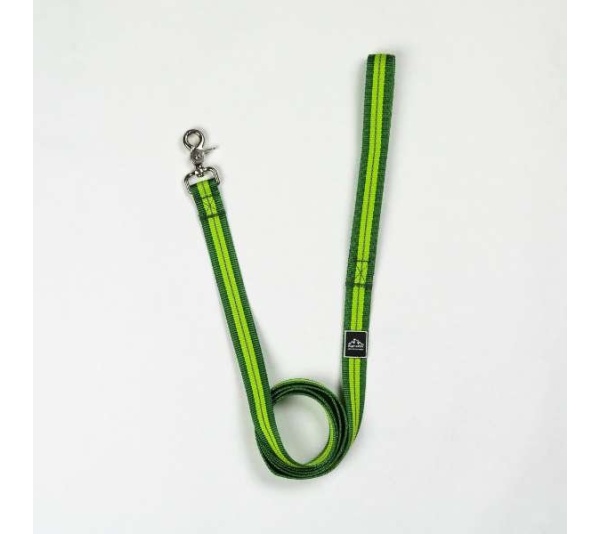 Kiwi Green Flat  - Appalachian Kiwi Green Flat Dog Leash - Large 1in. wide by 6ft. long