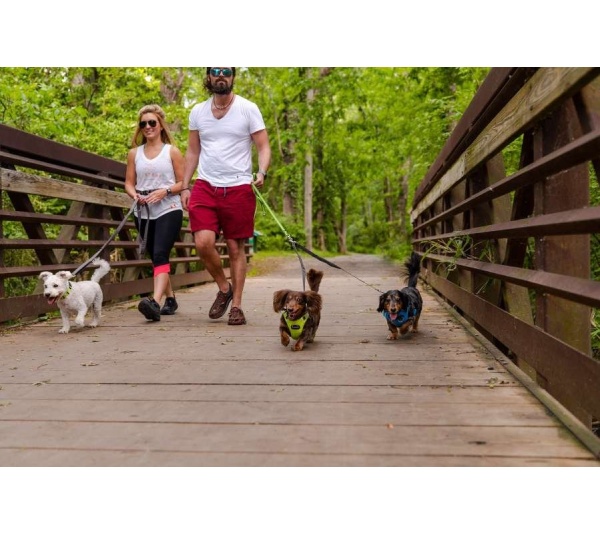 Kiwi Green Flat  - Appalachian Kiwi Green Flat Dog Leash - Small 5/8in. wide by 6ft. long