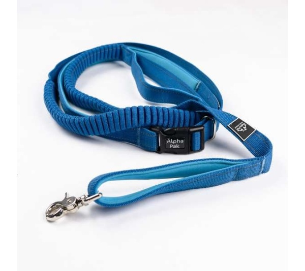 Cascades Metallic Blue Stretchable Runner Dog Leash - 6 to 10 feet when stretched.