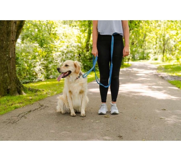 Cascades Metallic Blue Stretchable Runner Dog Leash - 6 to 10 feet when stretched.
