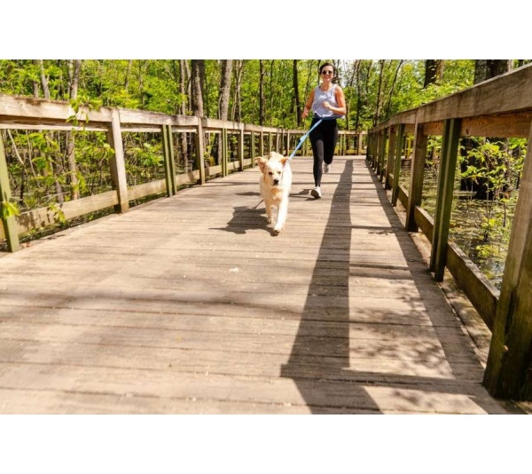 Cascades Metallic Blue Stretchable Runner Dog Leash - 6 to 10 feet when stretched.