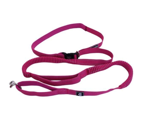 Cascades Plum Boysenberry Stretchable Runner Dog Leash - 6 to 10 feet when stretched.