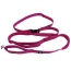 Cascades Plum Boysenberry Stretchable Runner Dog Leash - 6 to 10 feet when stretched.