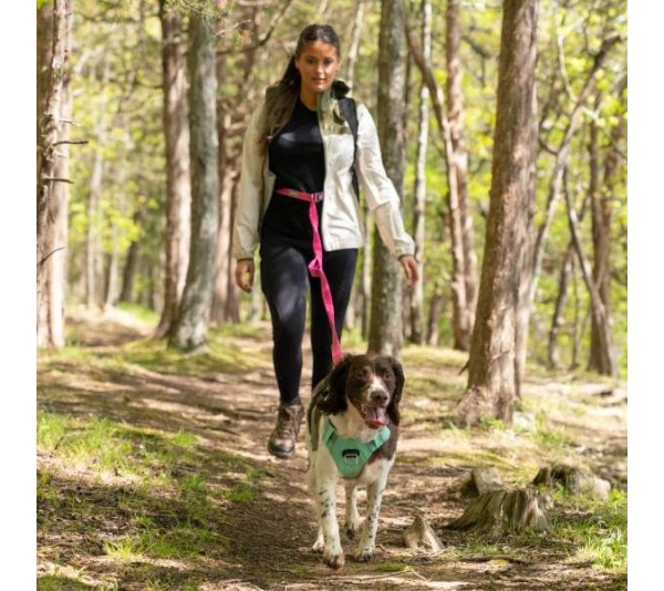 Cascades Plum Boysenberry Stretchable Runner Dog Leash - 6 to 10 feet when stretched.