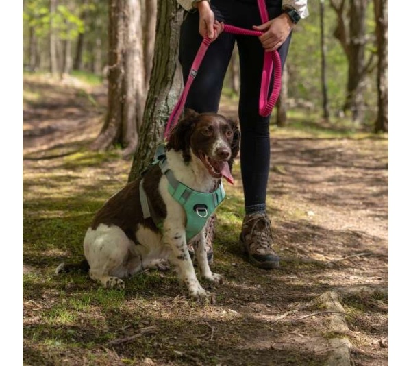 Cascades Plum Boysenberry Stretchable Runner Dog Leash - 6 to 10 feet when stretched.