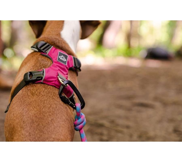 Elements 10MM Kernmantle Rope Leash - 30 inches