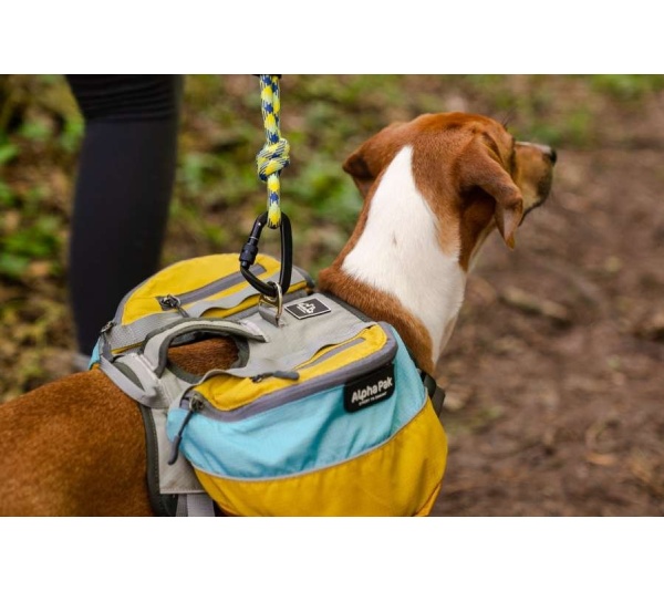 Junction 10MM Kernmantle Rope Leash - 30 inches