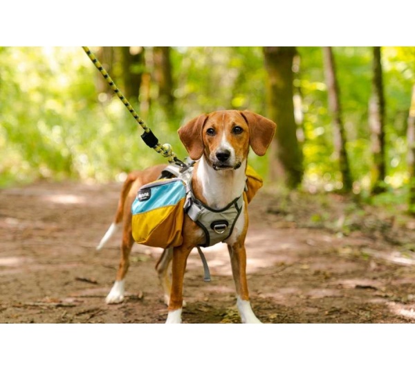 Junction 10MM Kernmantle Rope Leash - 30 inches